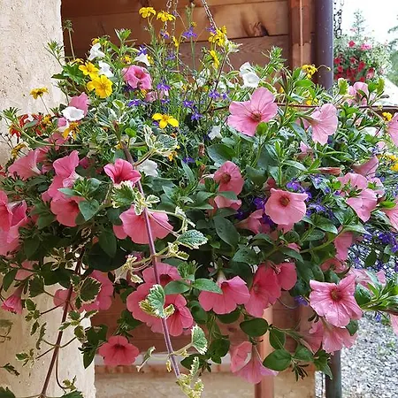 Le Chalet Du Queyras And Spa Chalet Molines-en-Queyras