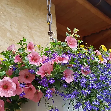 Le Chalet Du Queyras And Spa * Molines-en-Queyras